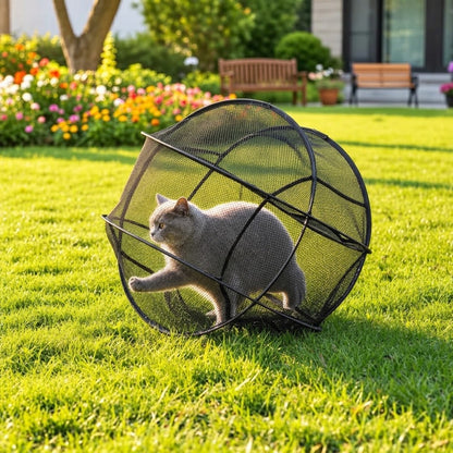 Katze im RolliKatze Auslaufball im Garten